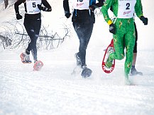 racchetteinvalle Ciaspolata in Val troncea edizione 2009 by turinmarathon